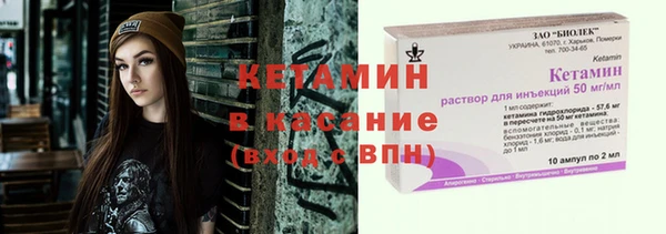 шишки Новодвинск