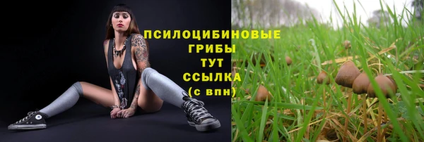 тгк Няндома