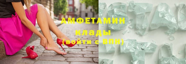 шишки Новодвинск