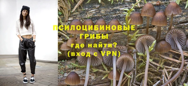 тгк Няндома
