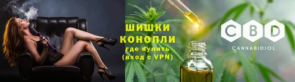 шишки Новодвинск