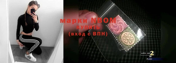 тгк Няндома