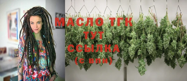 тгк Няндома
