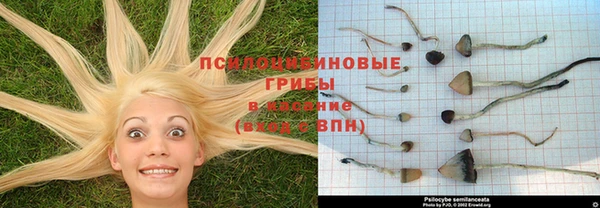 наркотики Новокубанск