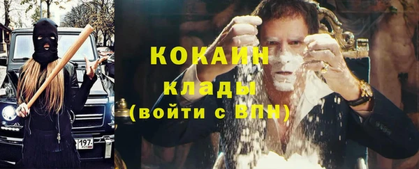 шишки Новодвинск