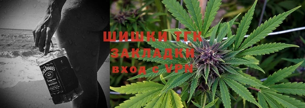 тгк Няндома