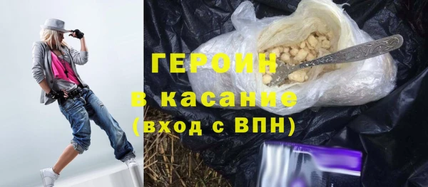 гидра Богородицк