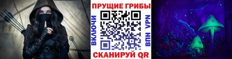 kraken ссылки  Россошь  Псилоцибиновые грибы GOLDEN TEACHER 