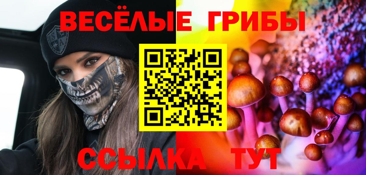 Галлюциногенные грибы Psilocybe  Вход с VPN  Россошь 